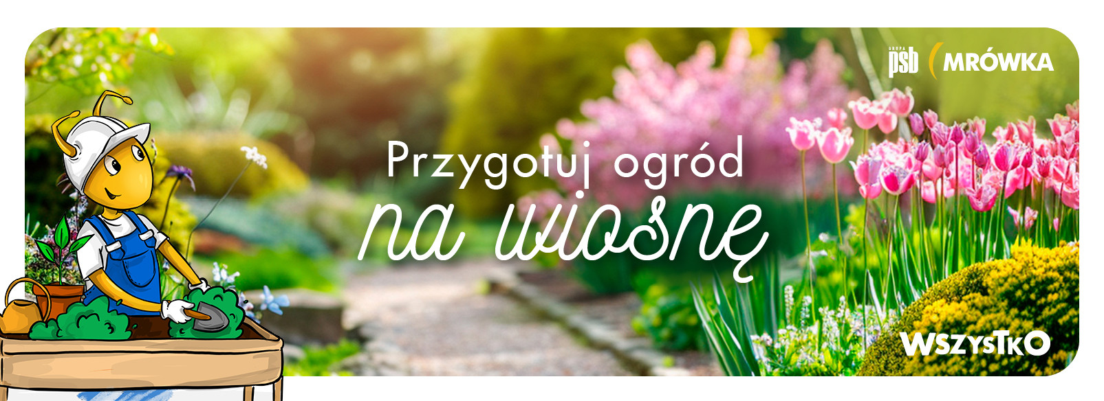 Grupa PSB mrowka PSB Mrówka Biała Podlaska