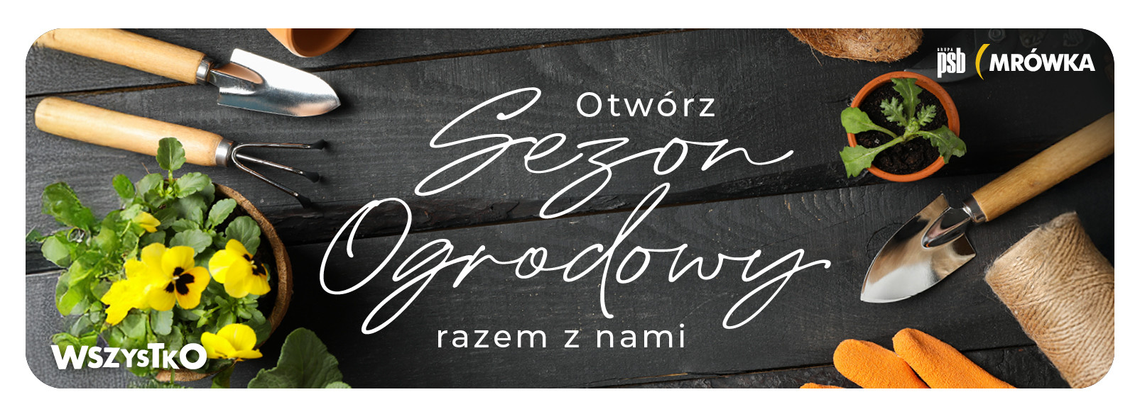 Grupa PSB mrowka PSB Mrówka Biała Podlaska