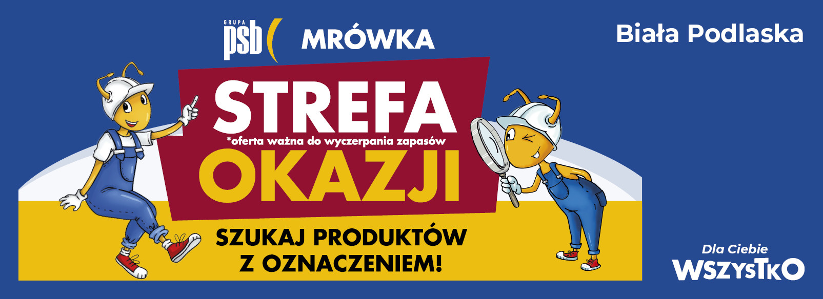 Grupa PSB mrowka PSB Mrówka Biała Podlaska